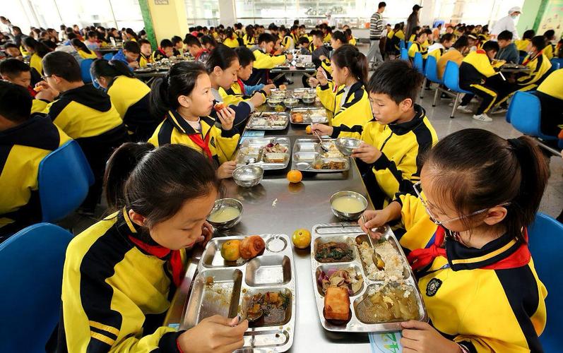 《"校园餐"成腐败温床,多方出击能否还孩子健康餐?》