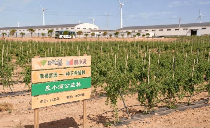 “行走的课堂”走进宁夏中宁：度小满AI病虫害预警系统落地枸杞田，公益免息贷款助力乡村振兴