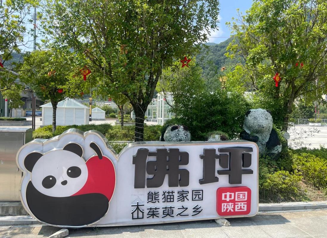 探访大熊猫国家公园（佛坪）：野生大熊猫密度全国之首，从7只到1900只的种群复苏之路
