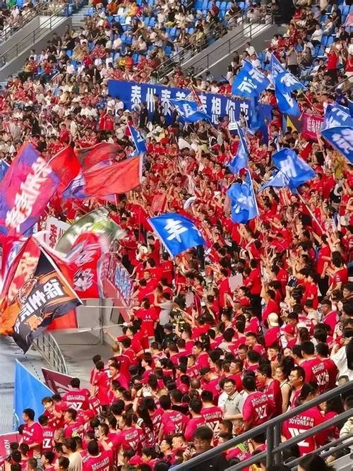 从“苏超”看“赛文化”出圈：一场球，一座城，一种共鸣