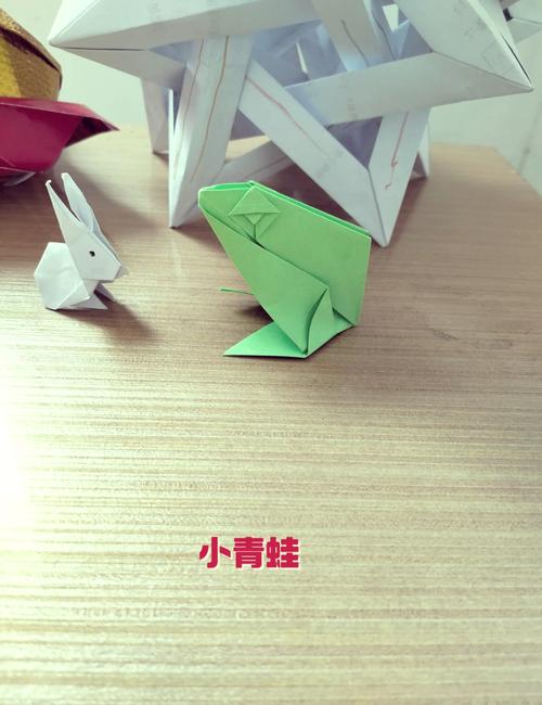 折纸少年用科学精神跃向世界之巅 